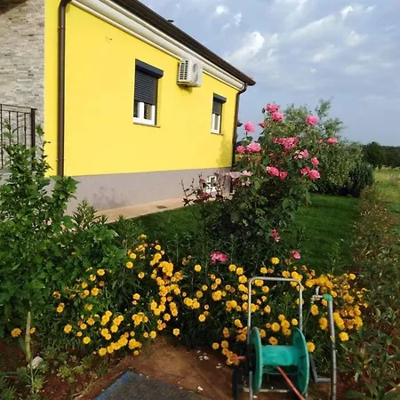 Mit Terrasse- Grill Und Garten By Interhome * Petrovija
